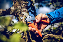 Load image into Gallery viewer, Original LÖWE 1.104 Classic Anvil Pruner