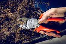 Load image into Gallery viewer, Original LÖWE 1.104 Classic Anvil Pruner