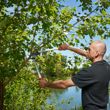 Load image into Gallery viewer, Felco 211-60 - Lopper 60cm Length Curved Cutting Head
