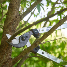 Load image into Gallery viewer, Felco 211-60 - Lopper 60cm Length Curved Cutting Head