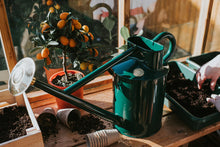Load image into Gallery viewer, Haws 'The Bearwood Brook' Watering Can 4.5L - Green