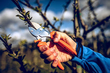 Load image into Gallery viewer, Original LÖWE 5.104 Classic Anvil Pruner