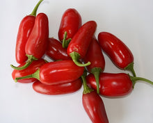 Load image into Gallery viewer, Chilli 'Jalapeno' Greenpatch Seeds