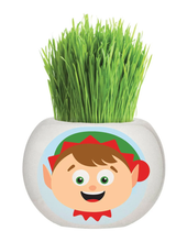 Load image into Gallery viewer, Grass Grow Kit Chrstmas