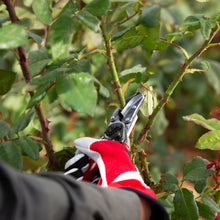 Load image into Gallery viewer, Felco 100 - Cut & Hold Pruning Shears