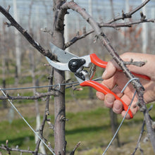 Load image into Gallery viewer, Felco 2 - Classic Pruning Shears