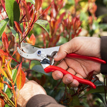 Load image into Gallery viewer, Felco 4 - Standard Large Pruning Shears