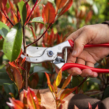 Load image into Gallery viewer, Felco 4 - Standard Large Pruning Shears