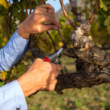 Load image into Gallery viewer, Felco 6 - Ergonomic Medium Pruning Shears