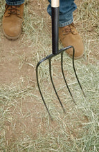 Load image into Gallery viewer, Corona Manure Fork - 4 Tine