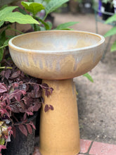 Load image into Gallery viewer, Callope Bird Bath