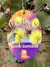 Load image into Gallery viewer, Eucalyptus 'Summer Scentsation'