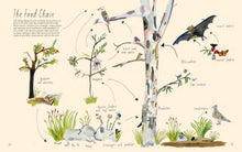 Load image into Gallery viewer, Planting for Native Birds, Bees and Butterflies by Jaclyn Crupi