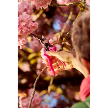 Load image into Gallery viewer, Felco 6 Color Edition - Pink Passion