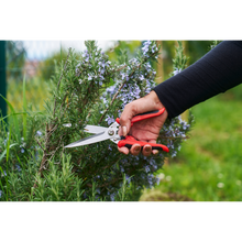 Load image into Gallery viewer, Felco 456 - Utility Snips