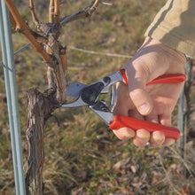 Load image into Gallery viewer, Felco 12 - Roll Handle Medium Pruning Shears