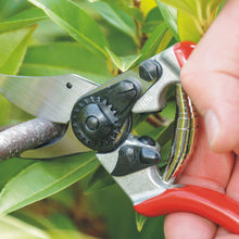 Load image into Gallery viewer, Felco 6 - Ergonomic Medium Pruning Shears