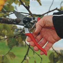 Load image into Gallery viewer, Felco 8 - Ergonomic Large Pruning Shears