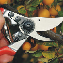 Load image into Gallery viewer, Felco 9 - Ergonomic Large Pruning Shears - for Left handers