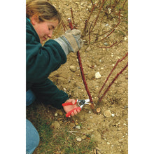 Load image into Gallery viewer, Felco 10 - Roll Handle Large Pruning Shears - for Left handers