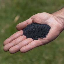 Load image into Gallery viewer, Vasili's Black Grit