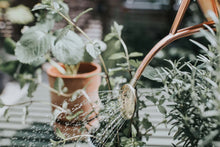 Load image into Gallery viewer, Haws 'The Rowley Ripple' 1L Watering Can - Copper
