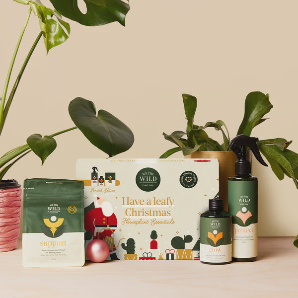 LEAFY CHRISTMAS ESSENTIALS KIT main image 1