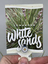 Load image into Gallery viewer, Lomandra 'White Sands'