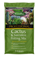 Load image into Gallery viewer, Cacti & Succulent Speciality Mix