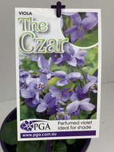 Load image into Gallery viewer, Viola 'The Czar'