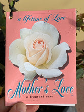 Load image into Gallery viewer, Rose 'Mother's Love'