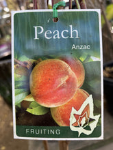 Load image into Gallery viewer, Peach 'Anzac'