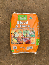 Load image into Gallery viewer, Blood & Bone