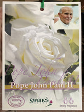 Load image into Gallery viewer, Rose - Hybrid Tea 'Pope John Paul II'