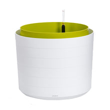 Load image into Gallery viewer, Berberis 55 Self-Watering Large Volume Flower Pot