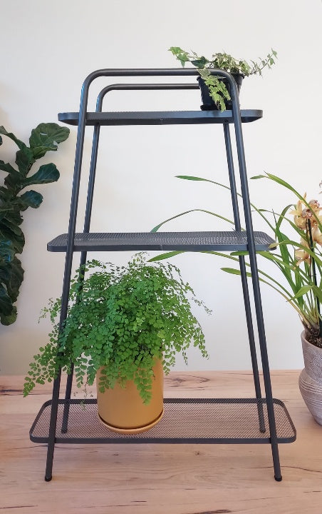 indoor planter stands australia Modern Plant Stand