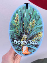 Load image into Gallery viewer, Lomandra ‘Frosty Top’