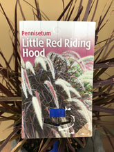 Load image into Gallery viewer, Pennisetum 'Little Red Riding Hood'