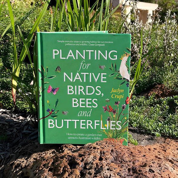 Planting for Native Birds, Bees and Butterflies Workshop with Jaclyn Crupi