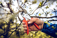 Load image into Gallery viewer, Original LÖWE 1.104 Classic Anvil Pruner

