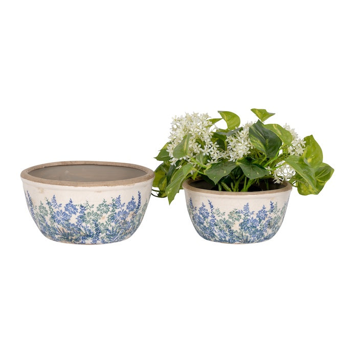 Pot Lavender Shallow