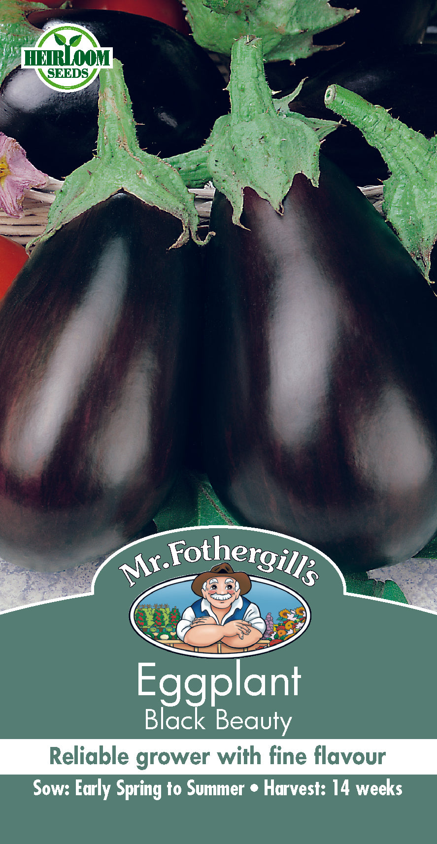 Eggplant 'Black Beauty' seeds