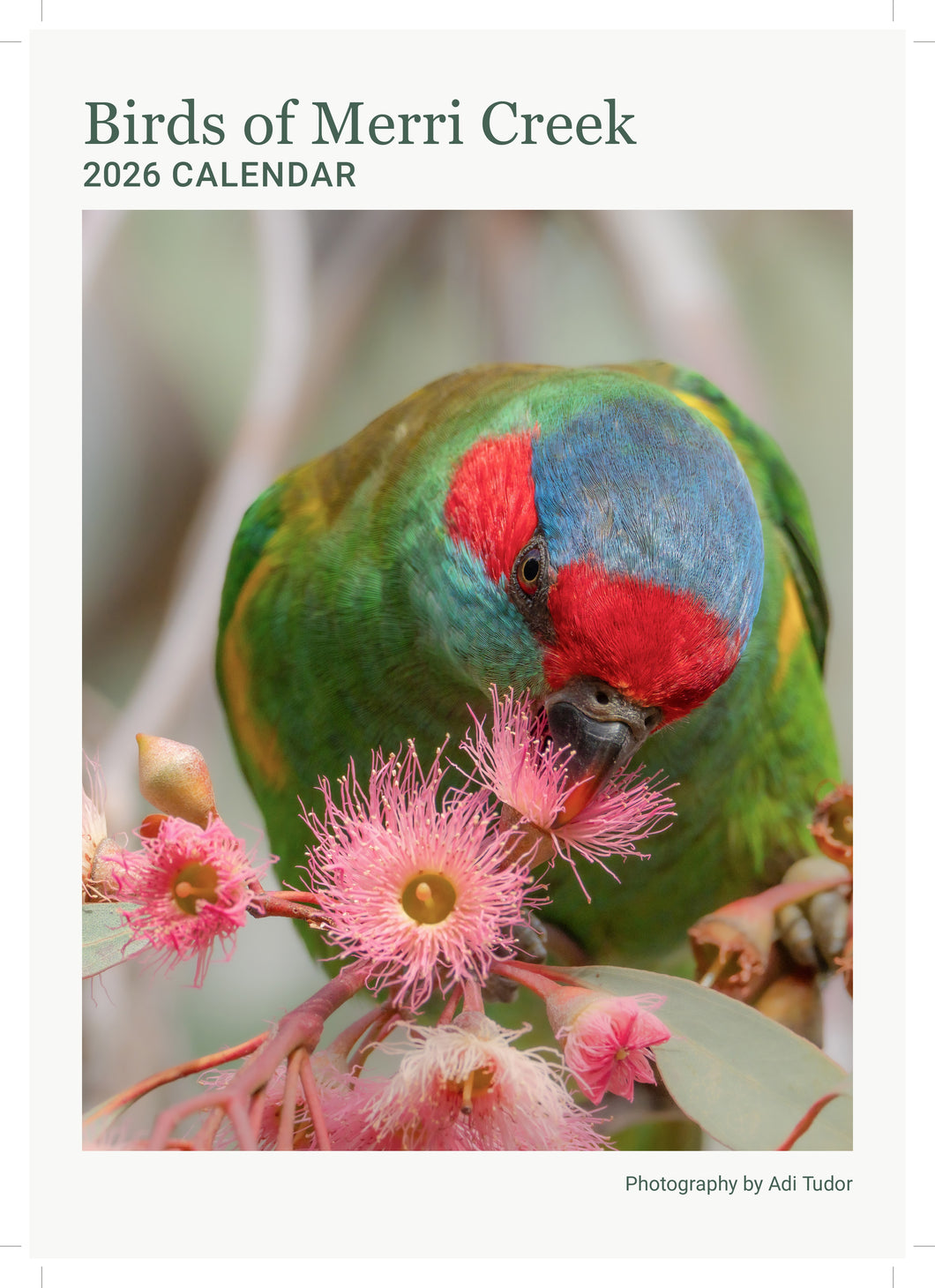 Birds of Merri Creek 2026 Calendar