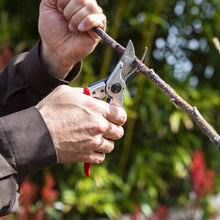 Load image into Gallery viewer, Felco 11 - Classic Large Pruning Shears
