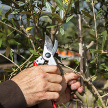 Load image into Gallery viewer, Felco 11 - Classic Large Pruning Shears
