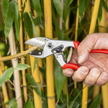 Load image into Gallery viewer, Felco 31 - Anvil Large Pruning Shears
