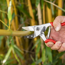 Load image into Gallery viewer, Felco 32 - Anvil Curved Large Pruning Shears
