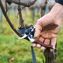 Load image into Gallery viewer, Felco 6 Elite - Ergonomic Medium Pruning Shears
