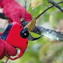 Load image into Gallery viewer, Felco 834W Electric Pruning Shear Kit
