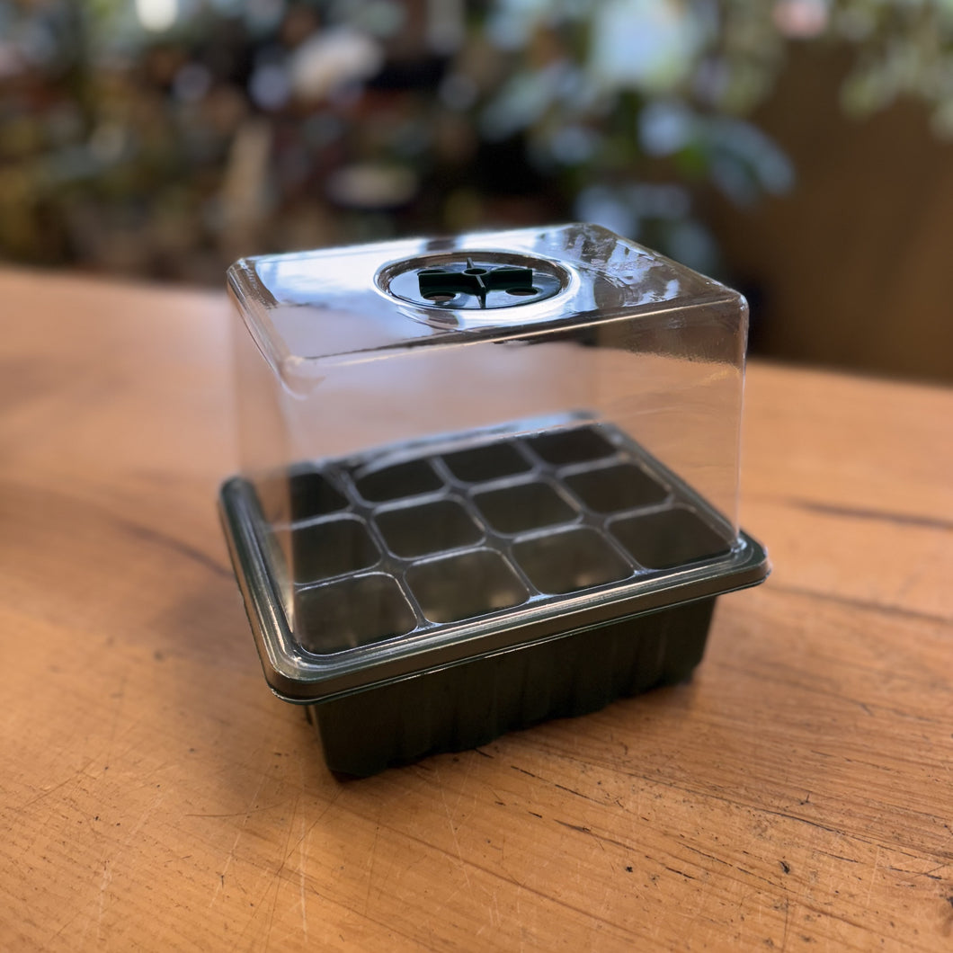 Propagation Box 12 Cell